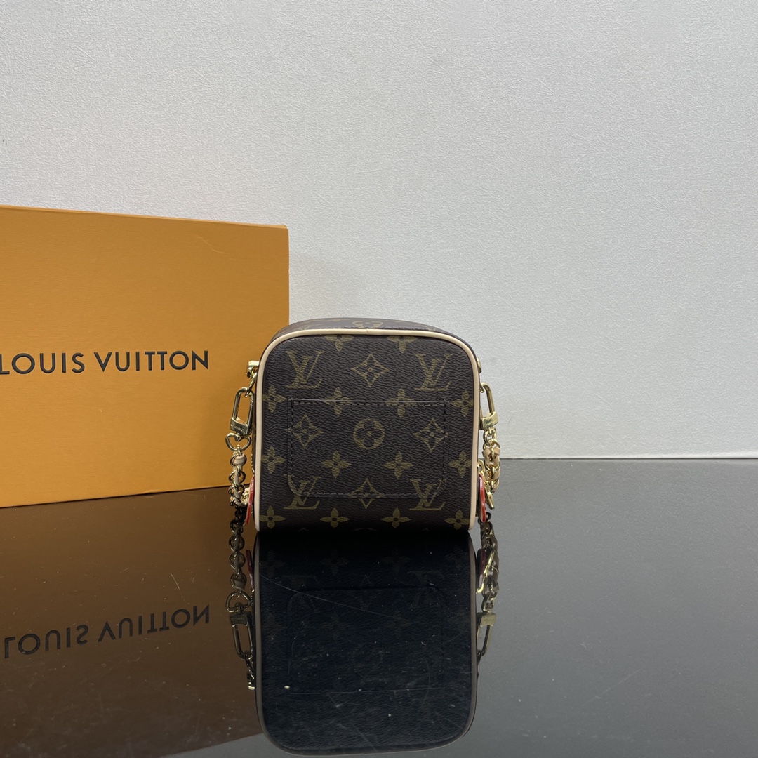 Louis Vuitton Satchel Bags